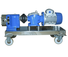 EP Series Rotary Lobe Pump 2