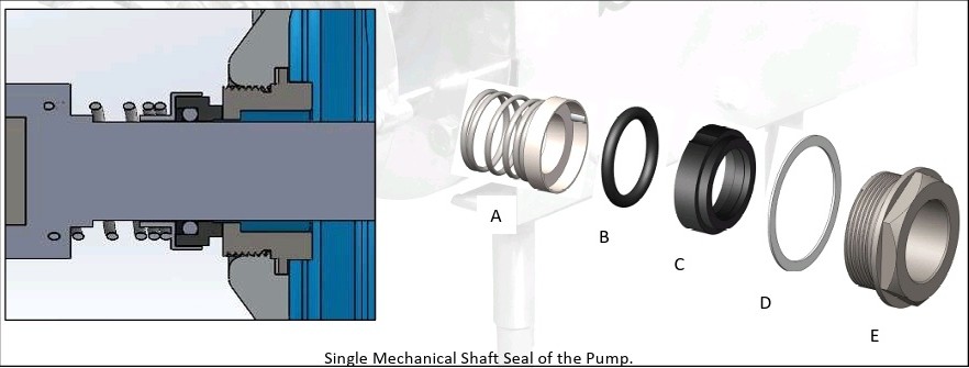Cut Section of the Sanitary Centrifugal Pump showing mechanical seal